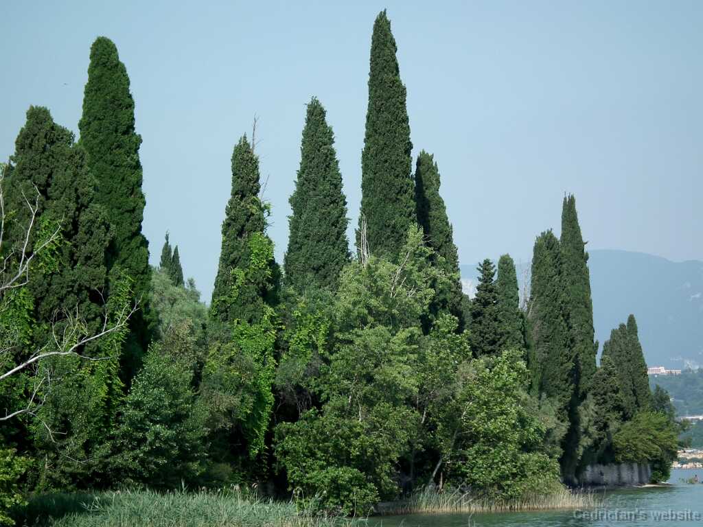 DSCF1642