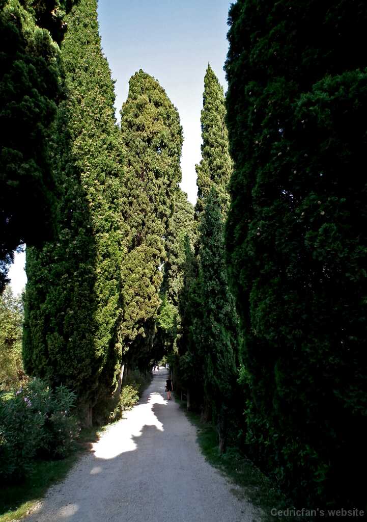 DSCF1644