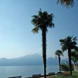 DSCF1623