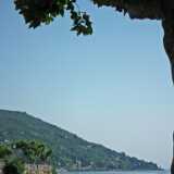 DSCF1631