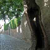 DSCF1638
