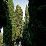 DSCF1644