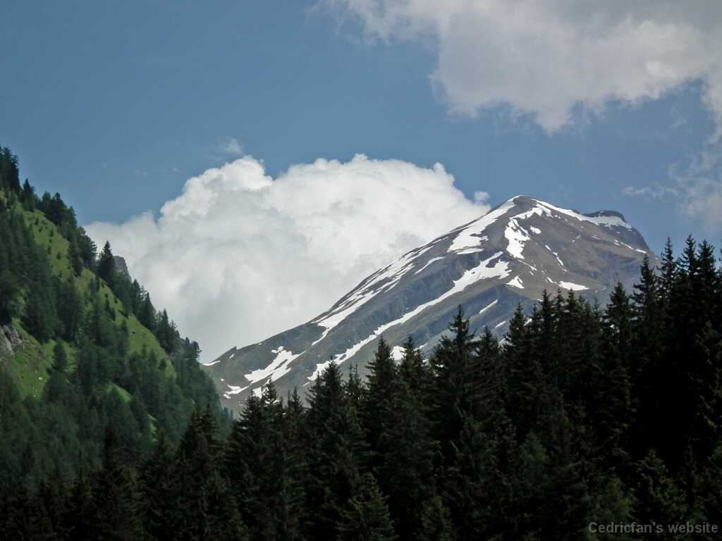 DSCF1440