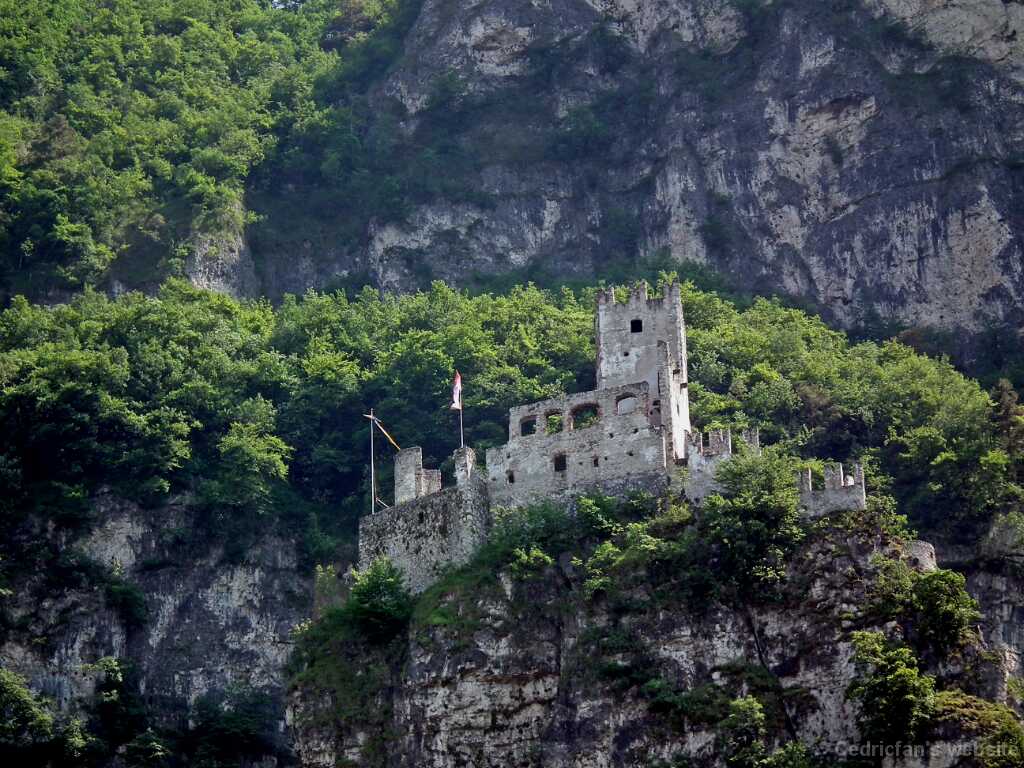 DSCF1443
