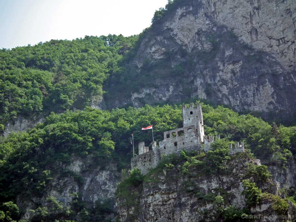 DSCF1445