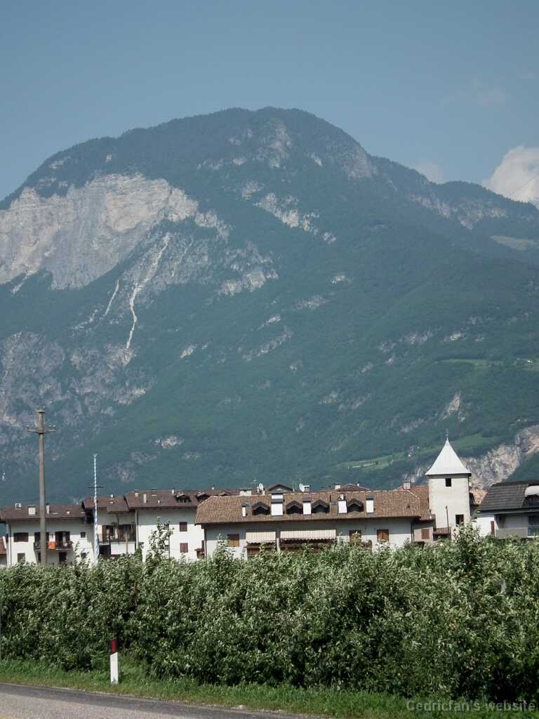 DSCF1446