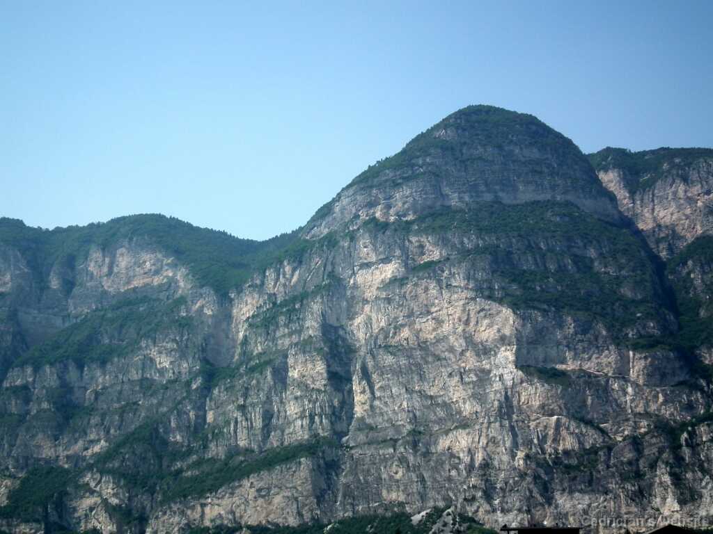 DSCF1447