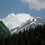 DSCF1440
