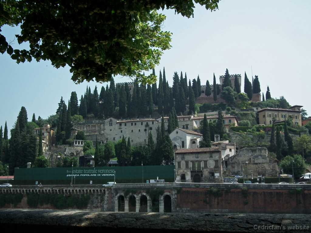 DSCF1551