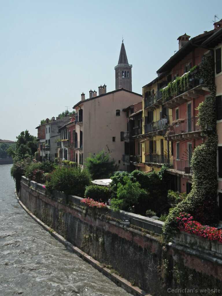DSCF1554
