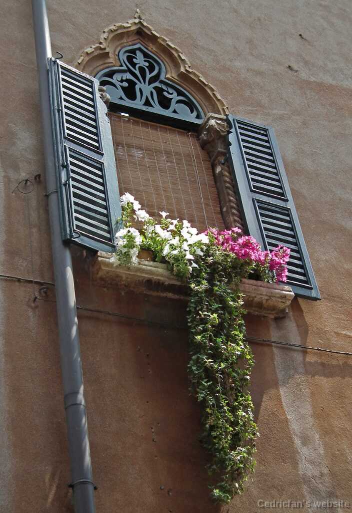 DSCF1594