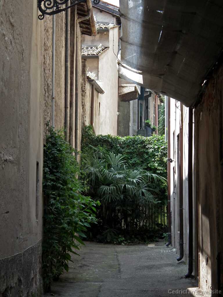DSCF1595