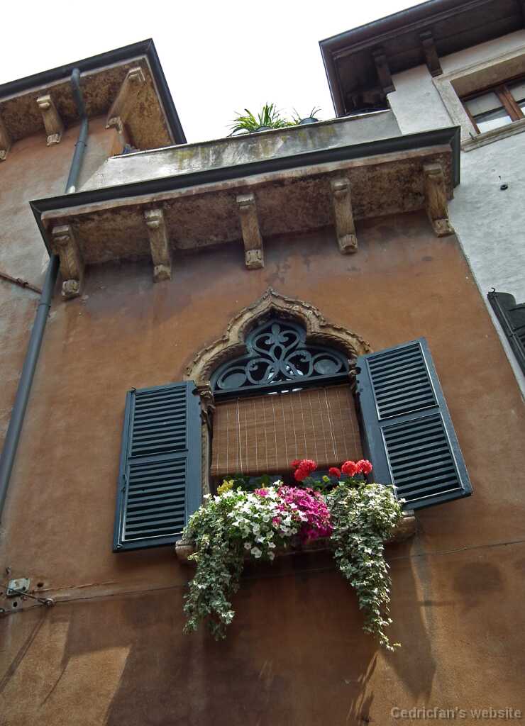 DSCF1596