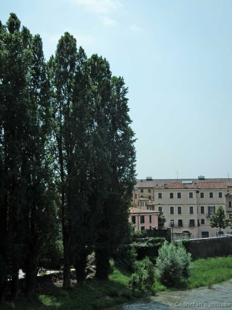 DSCF1617