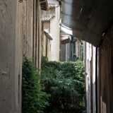 DSCF1595