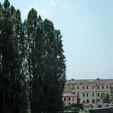 DSCF1617