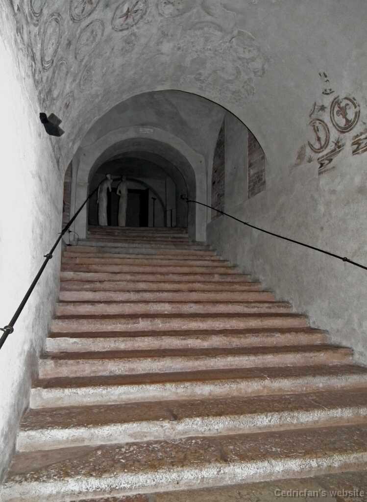 DSCF1541