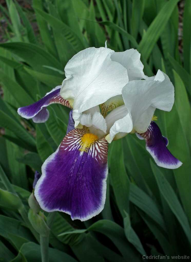 DSCF1278