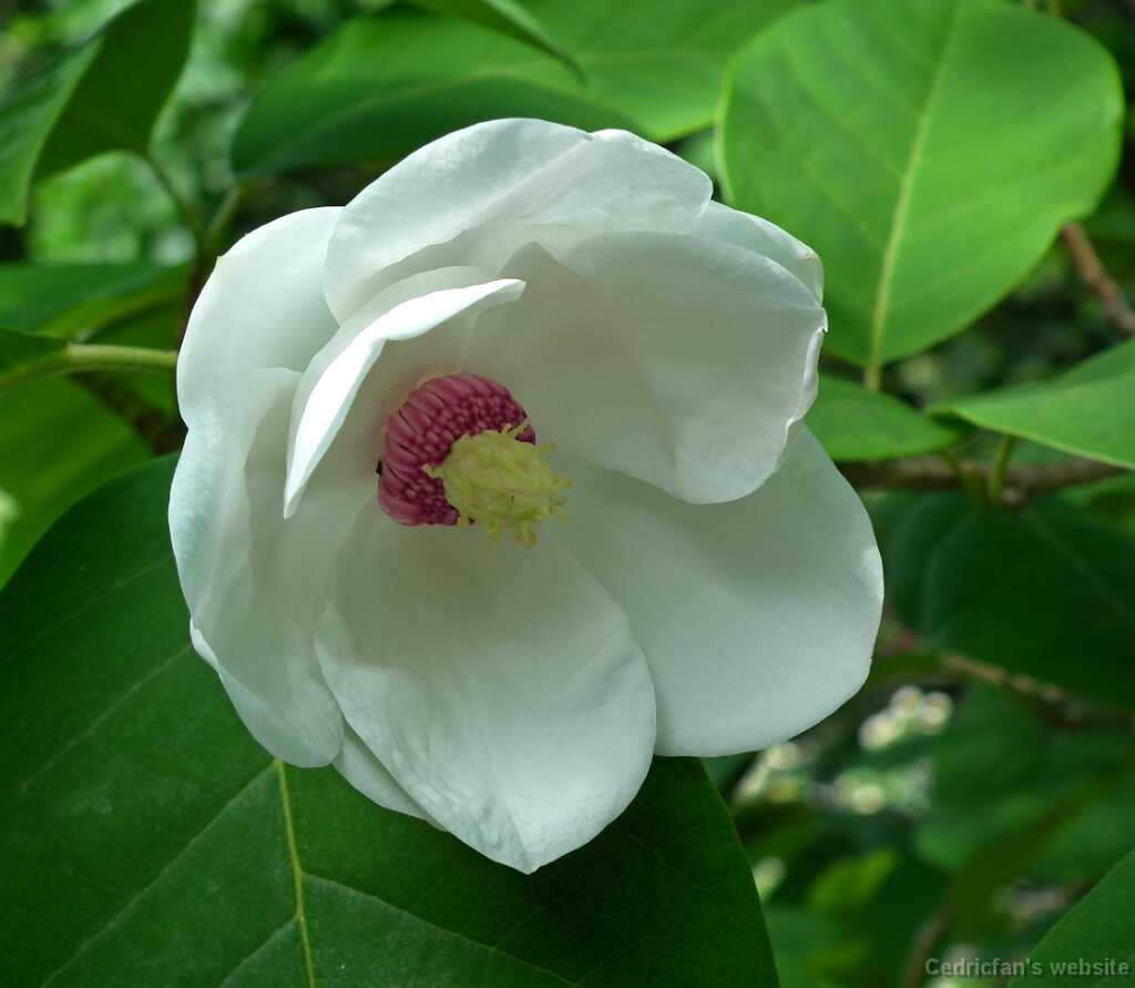 DSCF1288