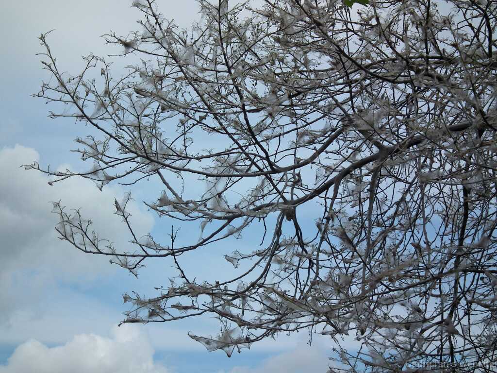 DSCF1253