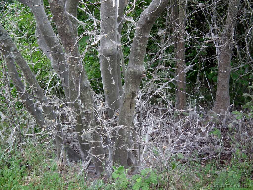 DSCF1263