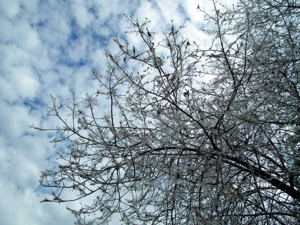 DSCF1268