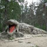 DSCF2376