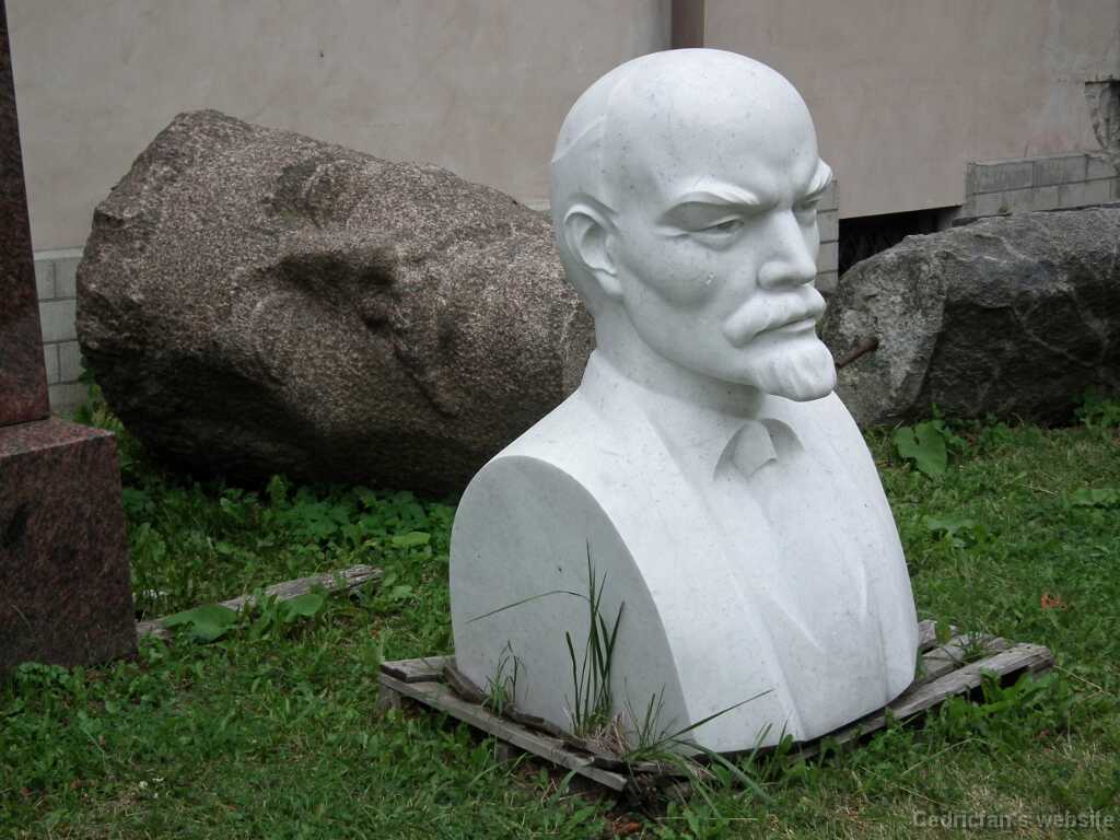 DSCF2385