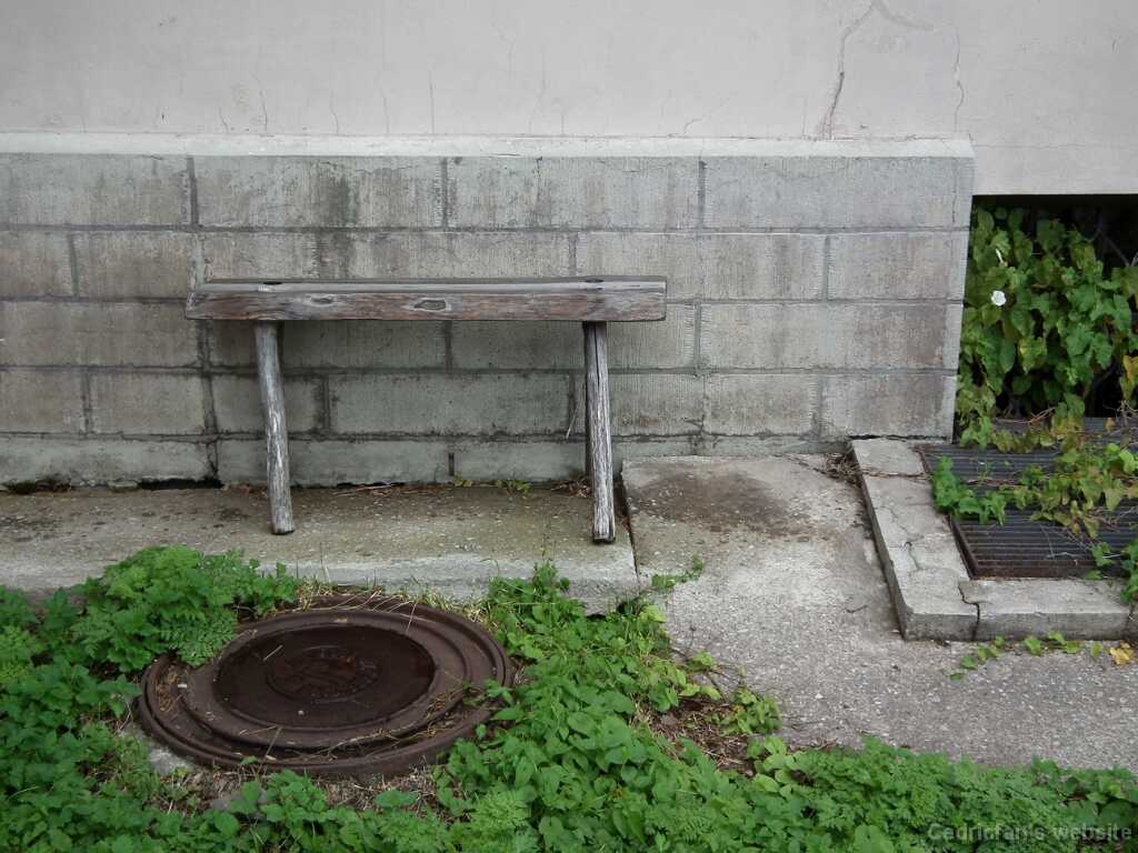 DSCF2386