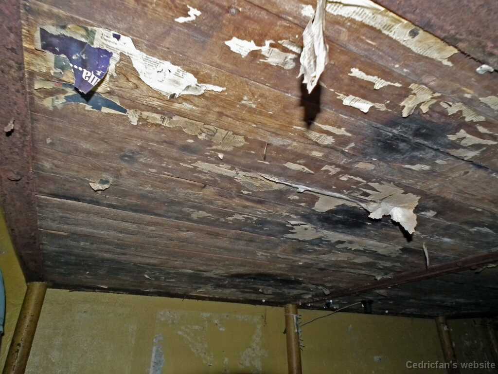 DSCF2165