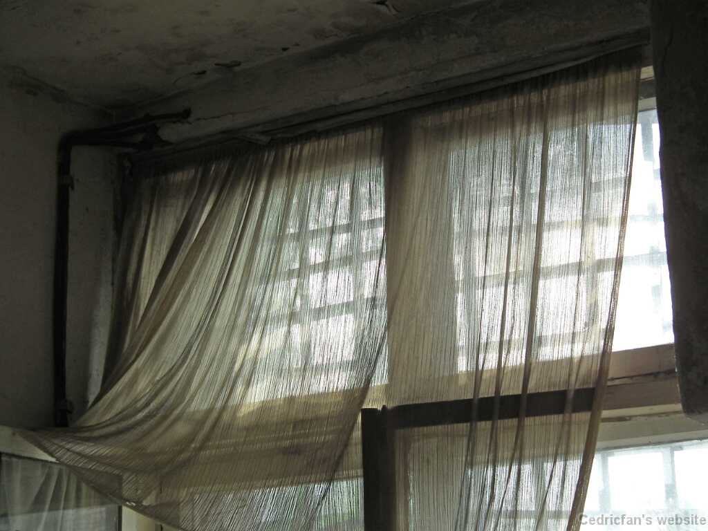 DSCF2168