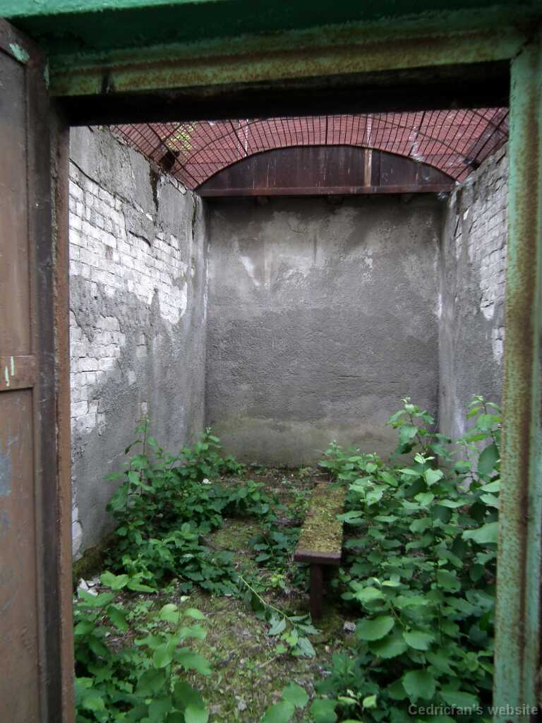DSCF2202