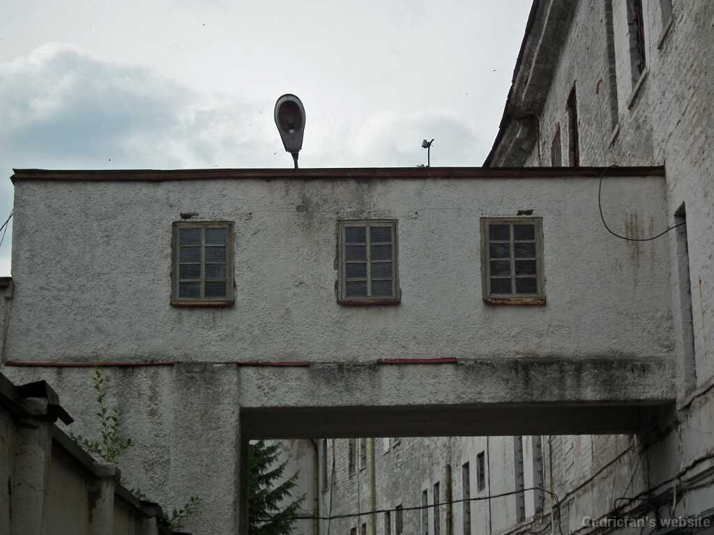 DSCF2203