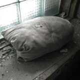 DSCF2178