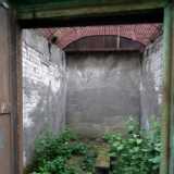 DSCF2202