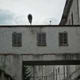 DSCF2203