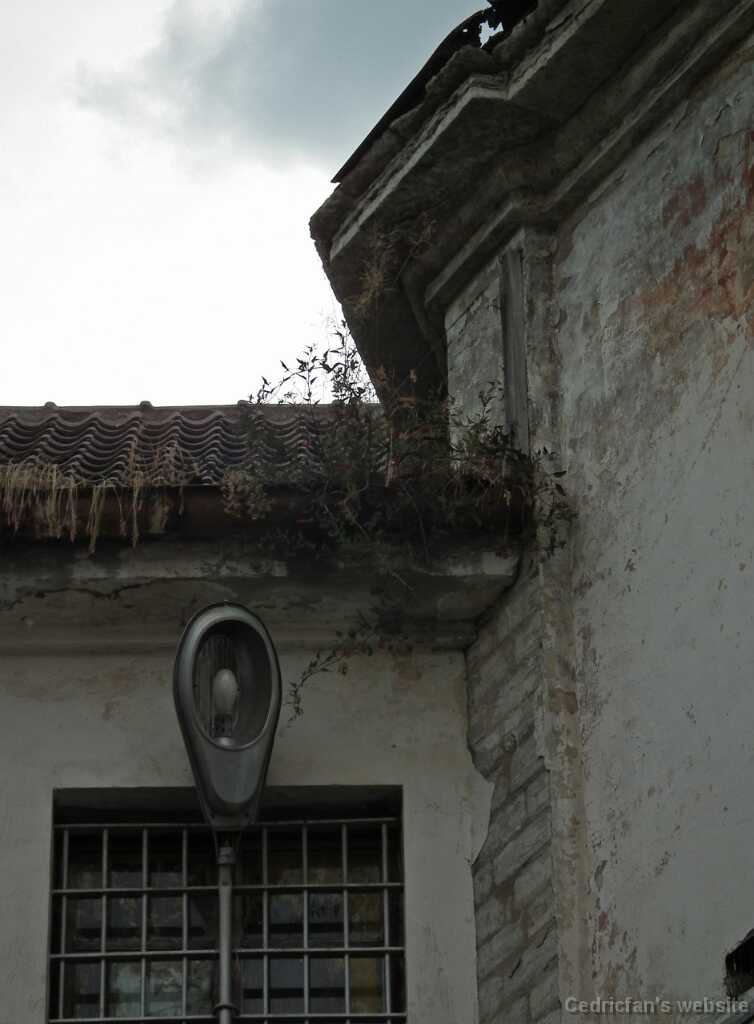 DSCF2205