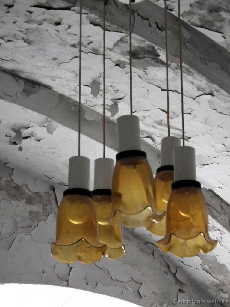 DSCF2220
