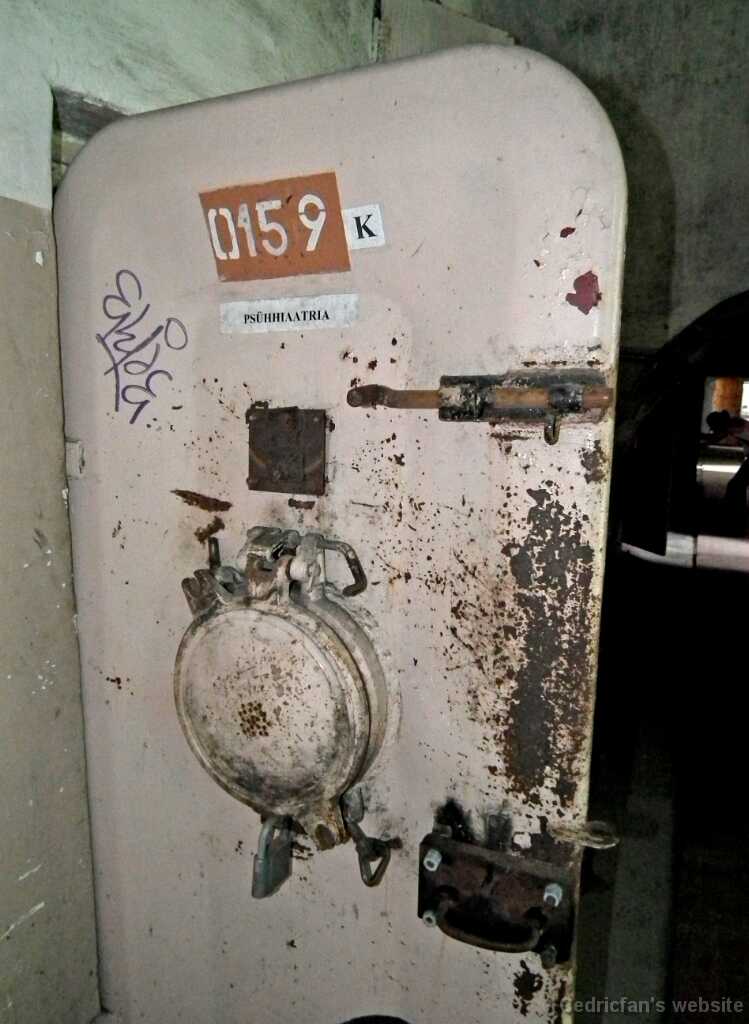 DSCF2229