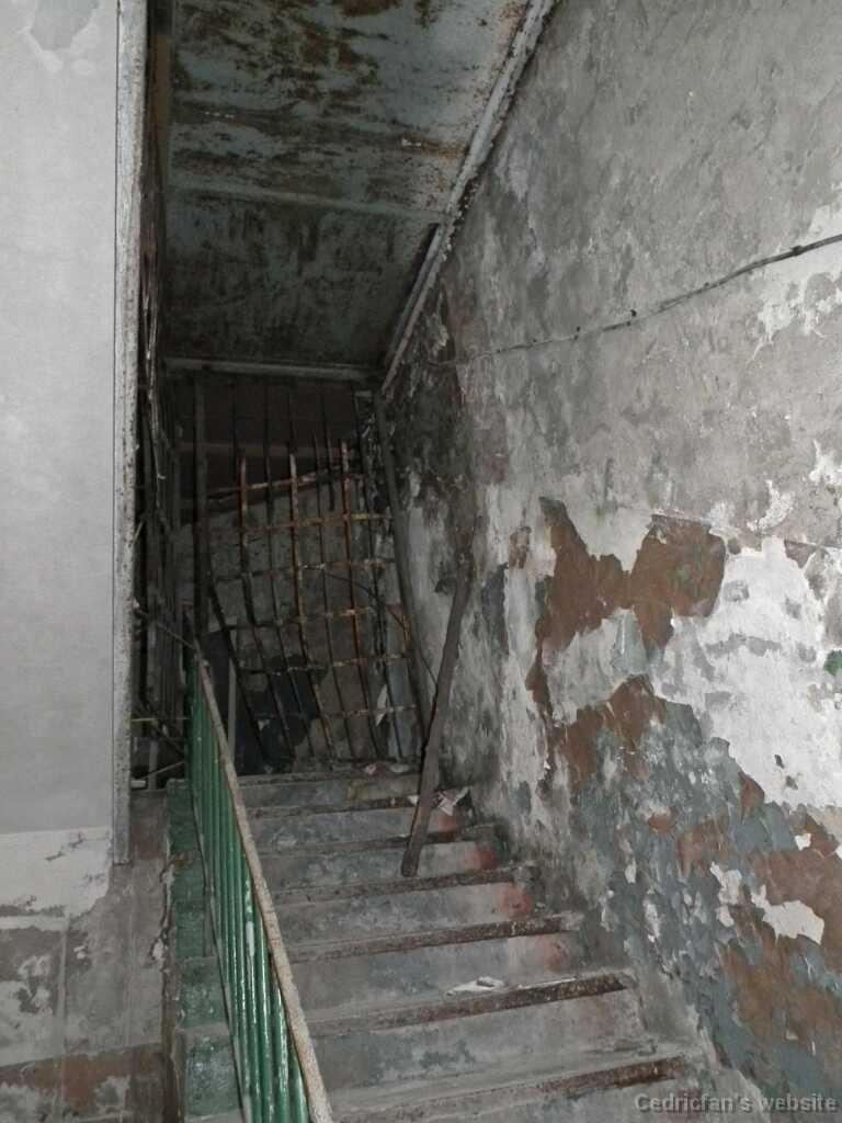 DSCF2231