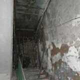 DSCF2231