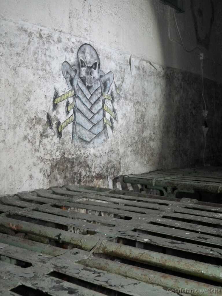 DSCF2279