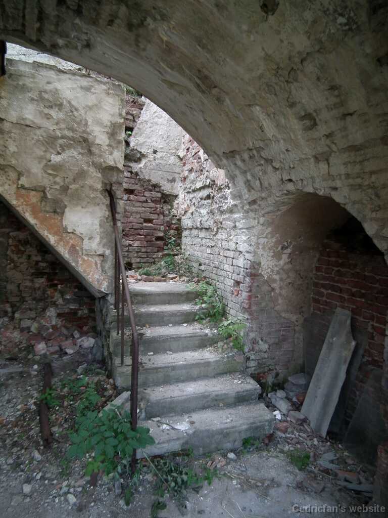 DSCF2294