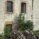 DSCF2291