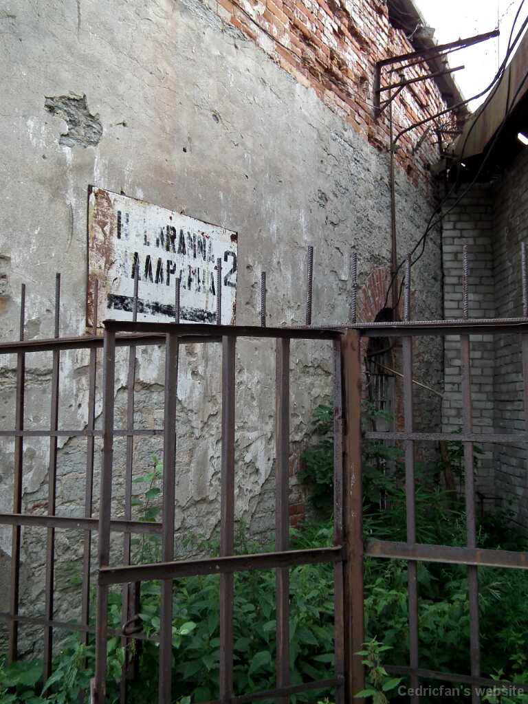 DSCF2101