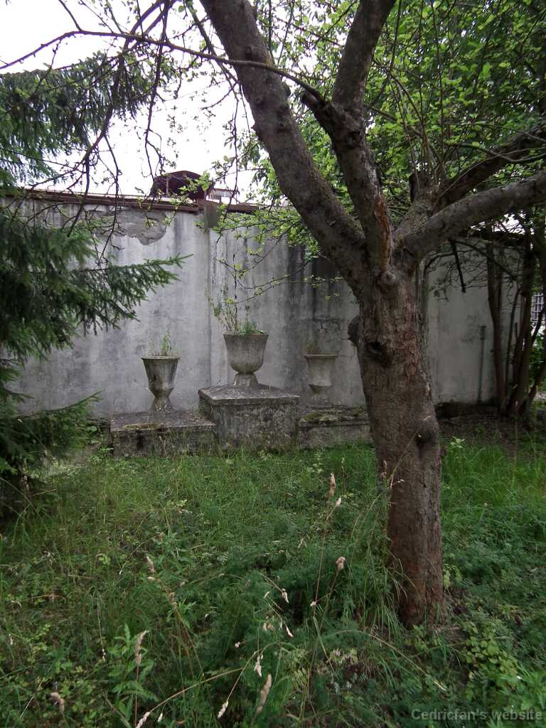 DSCF2120