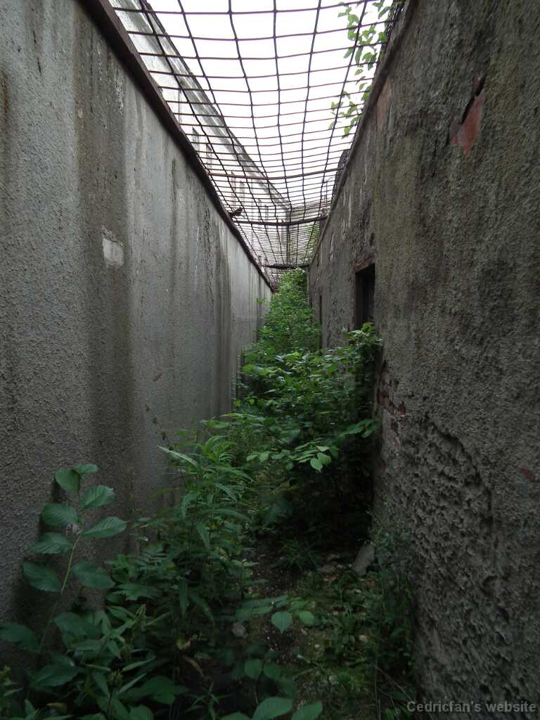 DSCF2122
