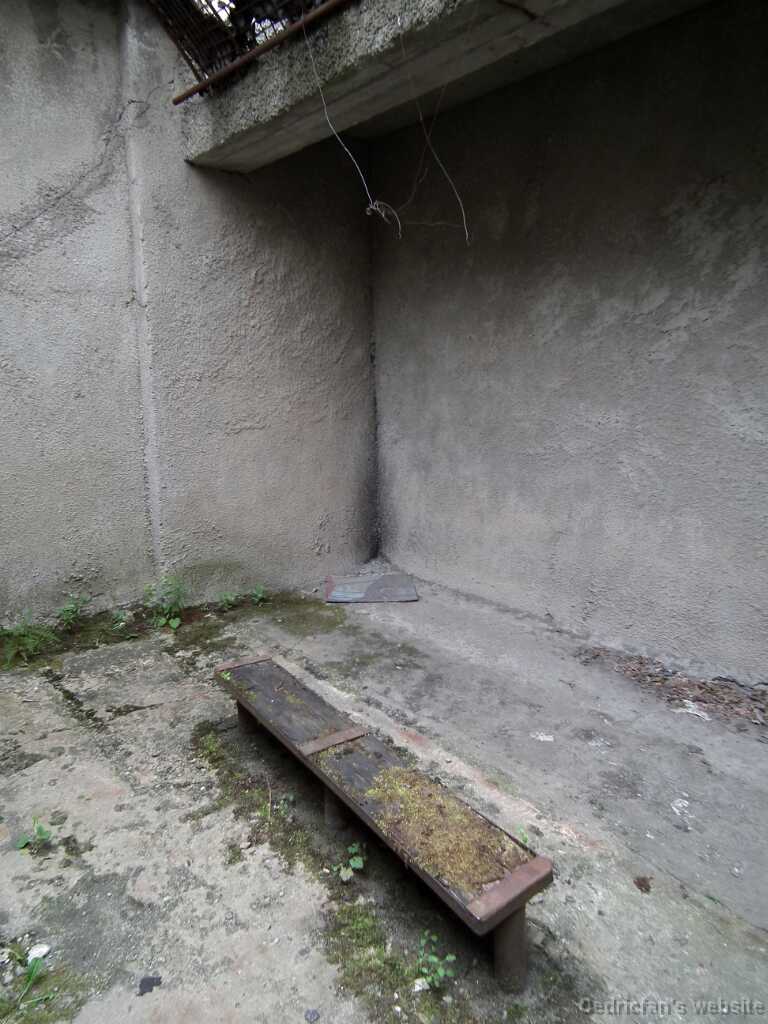 DSCF2123