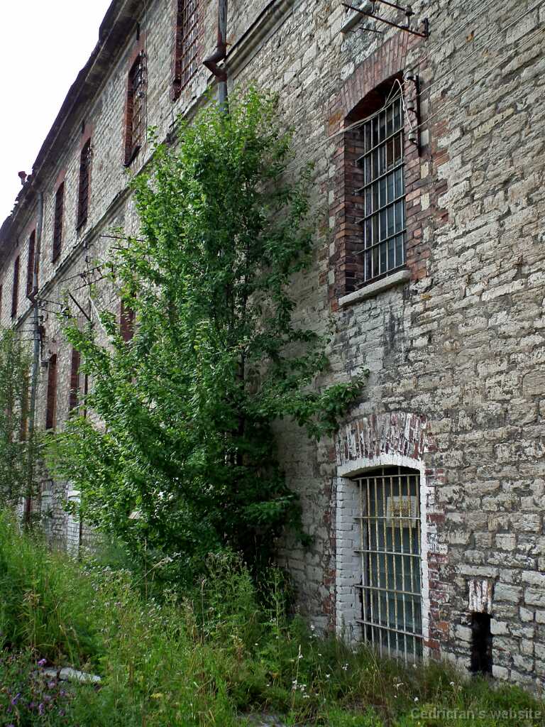 DSCF2134