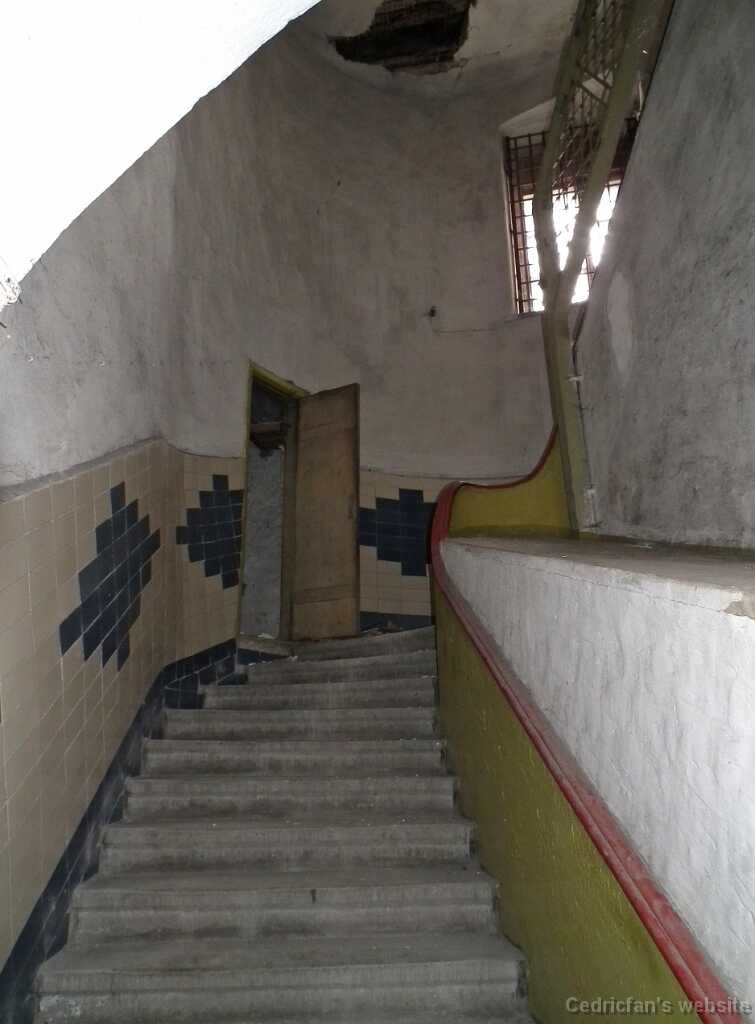 DSCF2137
